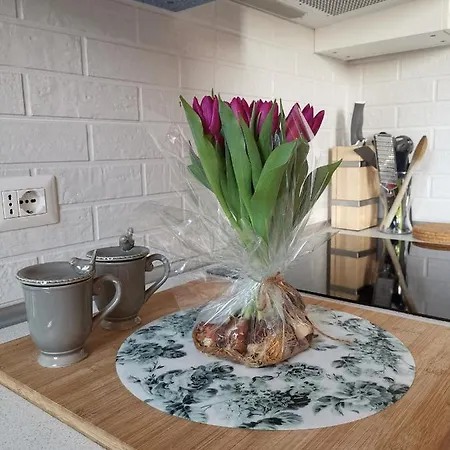 Affaccio Su Siena,vicino Al Centro, Con Garage Διαμέρισμα